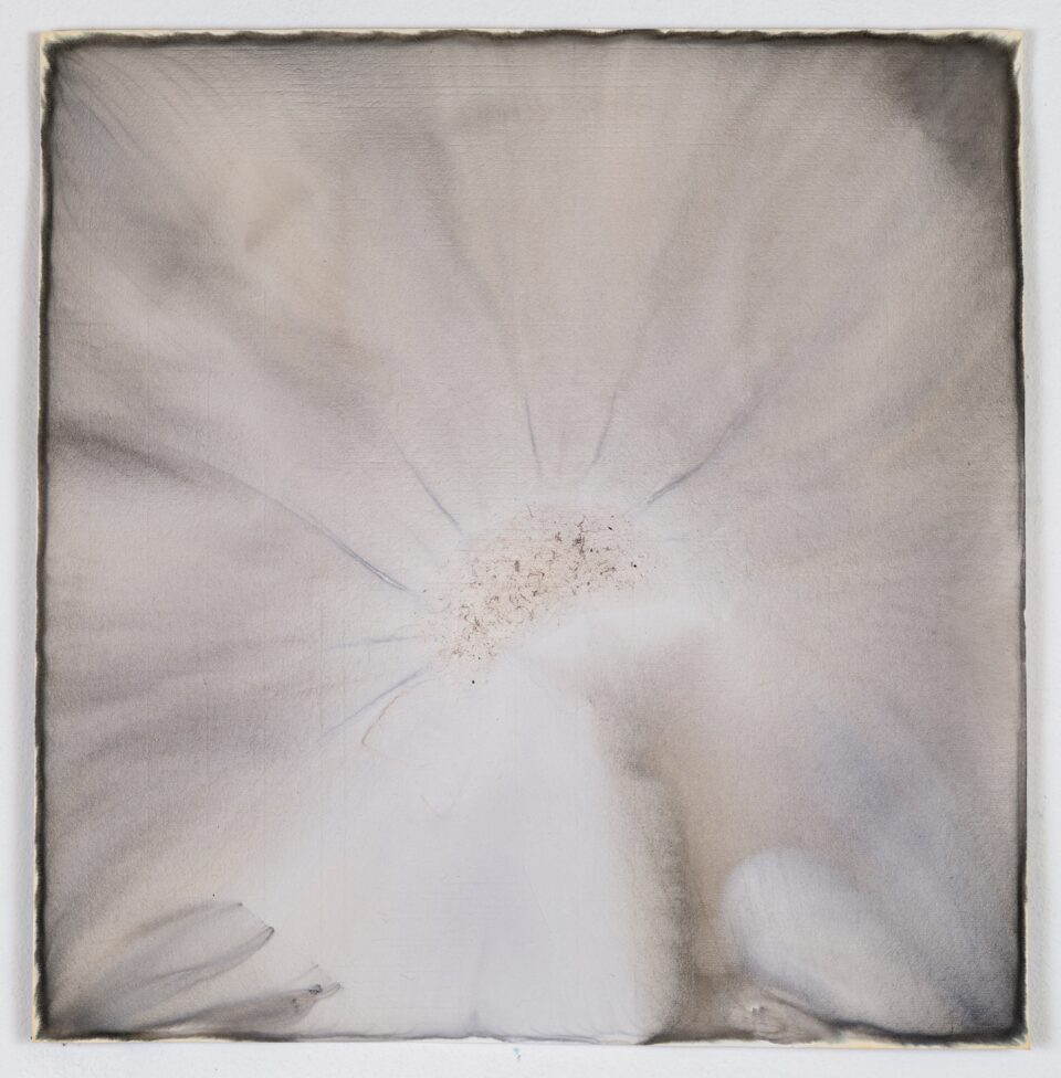 Dilution 11 encre sur papier 35x35 cm